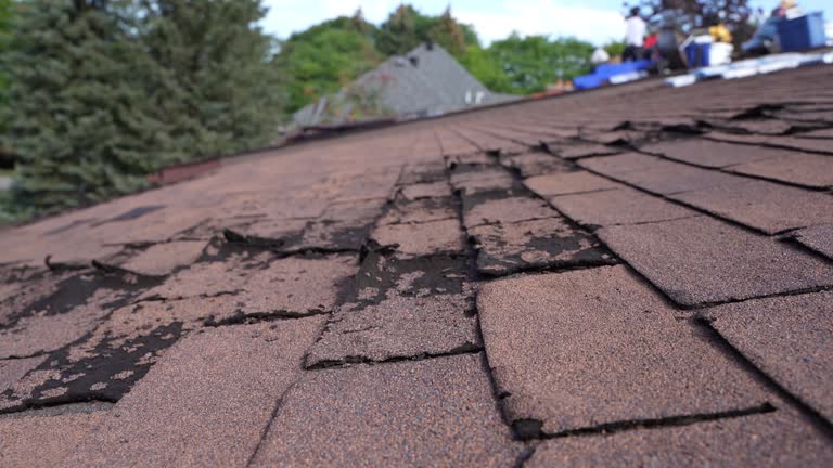 Best Solar Panel Roofing Installation  in National City, CA